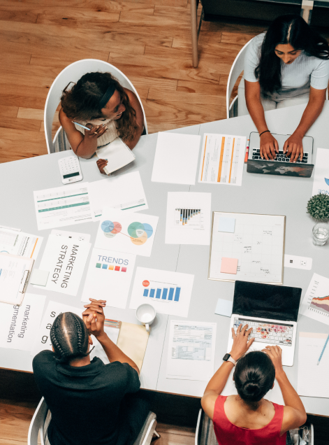 Professional Local SEO Service for Business Growth